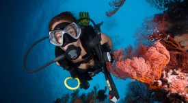 happy-diver-with-coral
